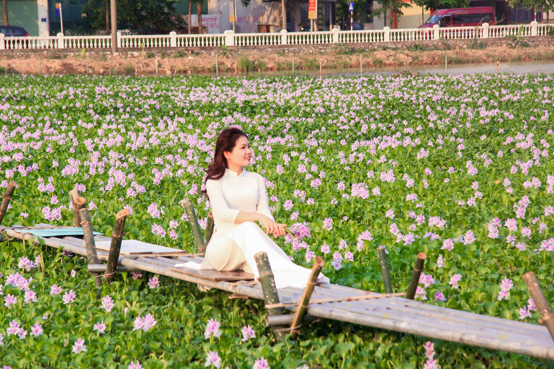 Các món ăn ngon từ cây lục bình – Từ dân dã đến hiện đại Các món ăn ngon từ cây lục bình – Từ dân dã đến hiện đại