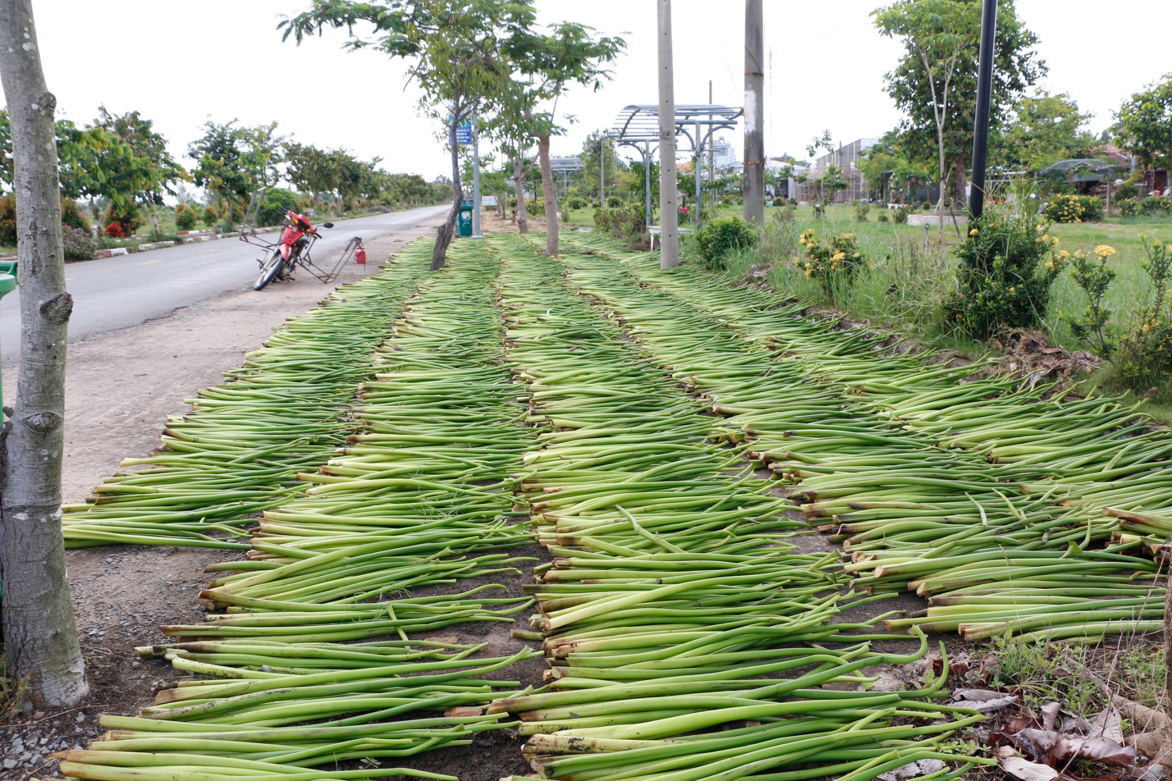 Đặc tính của sợi lục bình trong chế tác