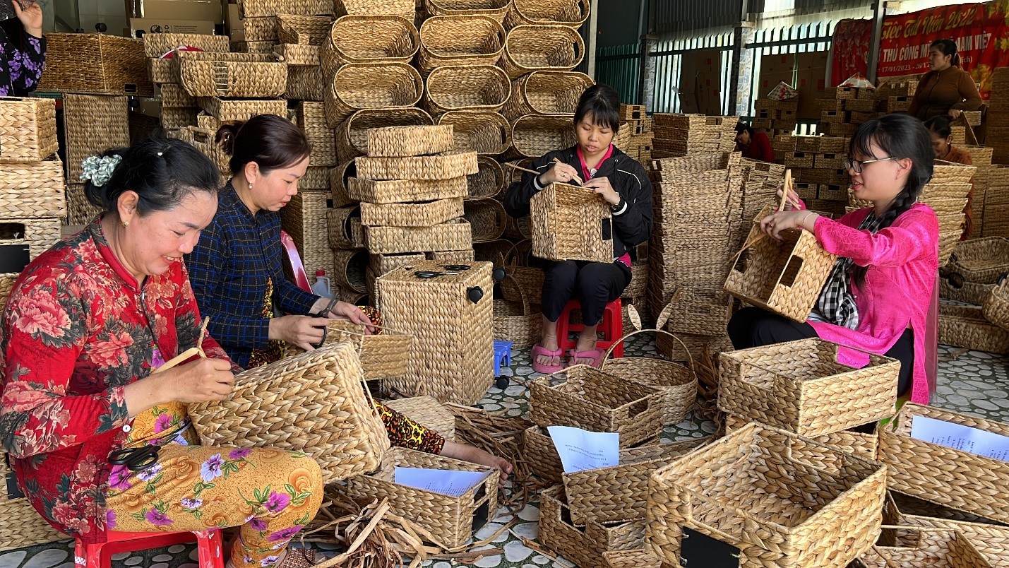 Giới thiệu về lục bình và ý nghĩa của nghề đan lục bình