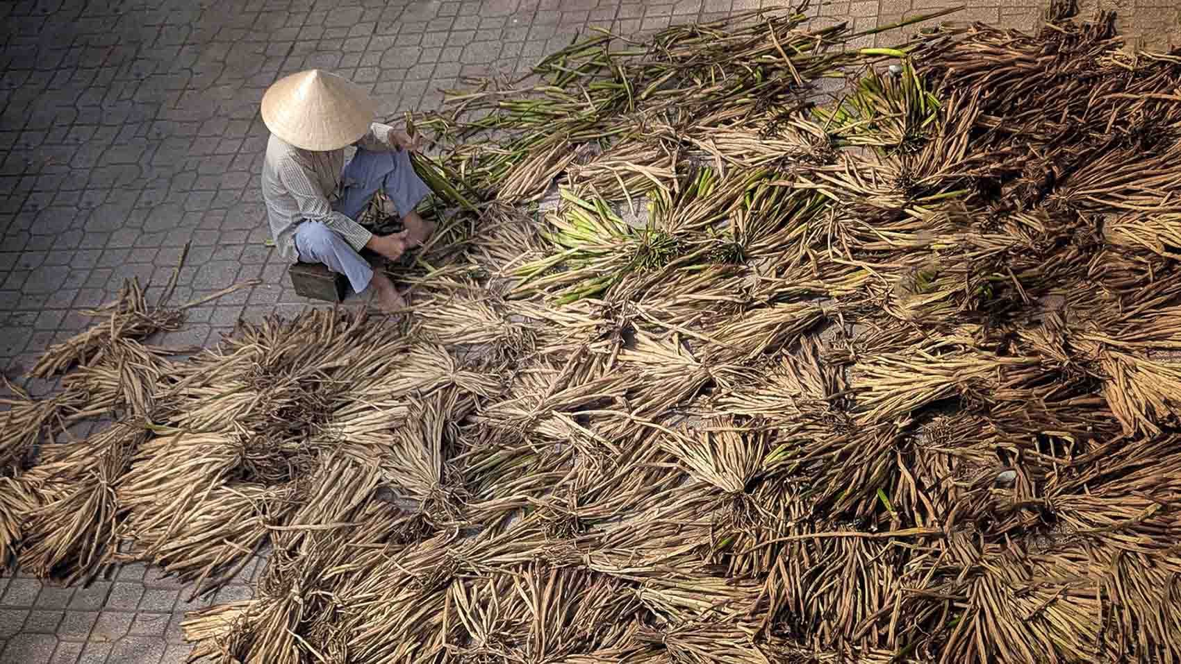 Lịch sử hình thành và giá trị văn hóa của nghề đan lục bình