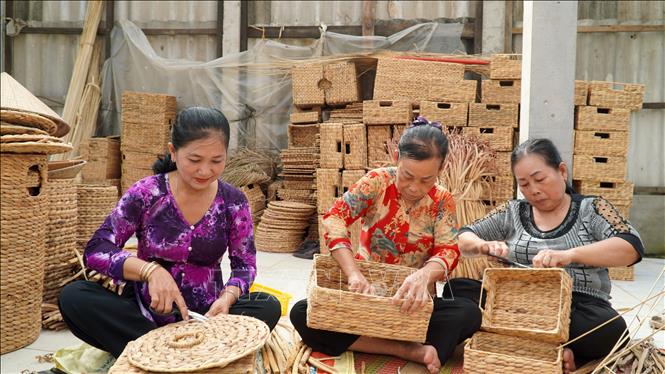 Cơ hội nghề nghiệp khi học đan lục bình