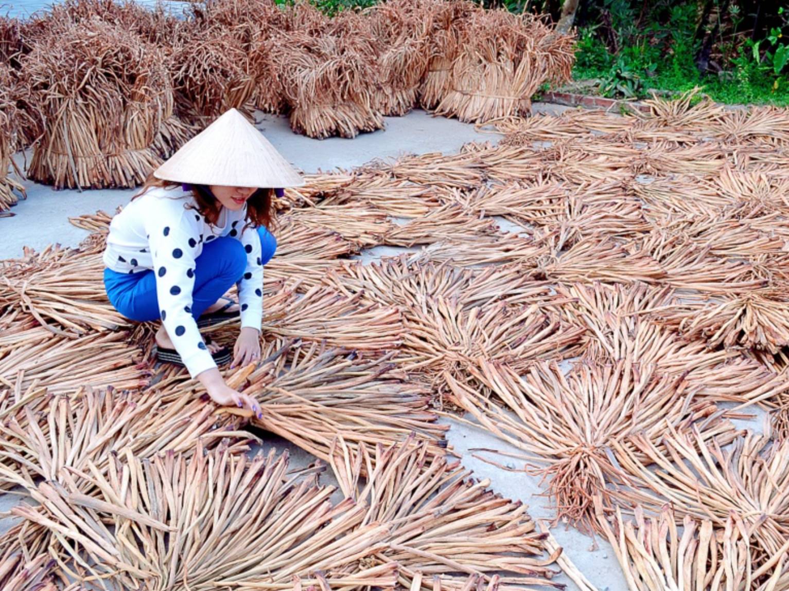 Giá trị kinh tế và cơ hội phát triển bền vững của nghề đan lục bình