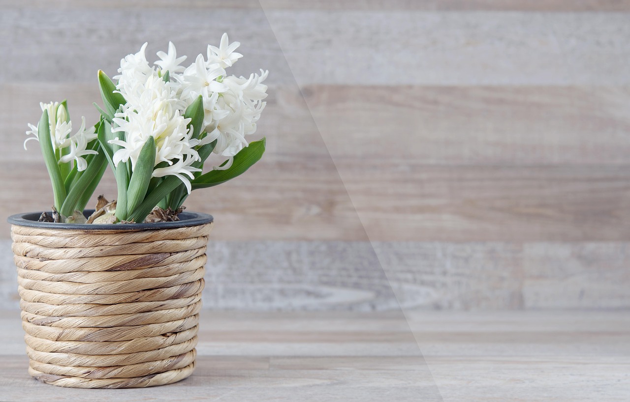 Nguồn gốc và quá trình hình thành giỏ hoa lục bình