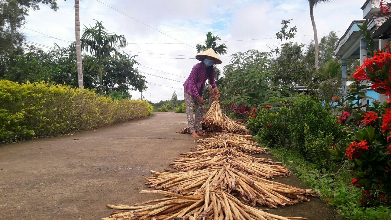 Nghề truyền thống hướng đến xuất khẩu