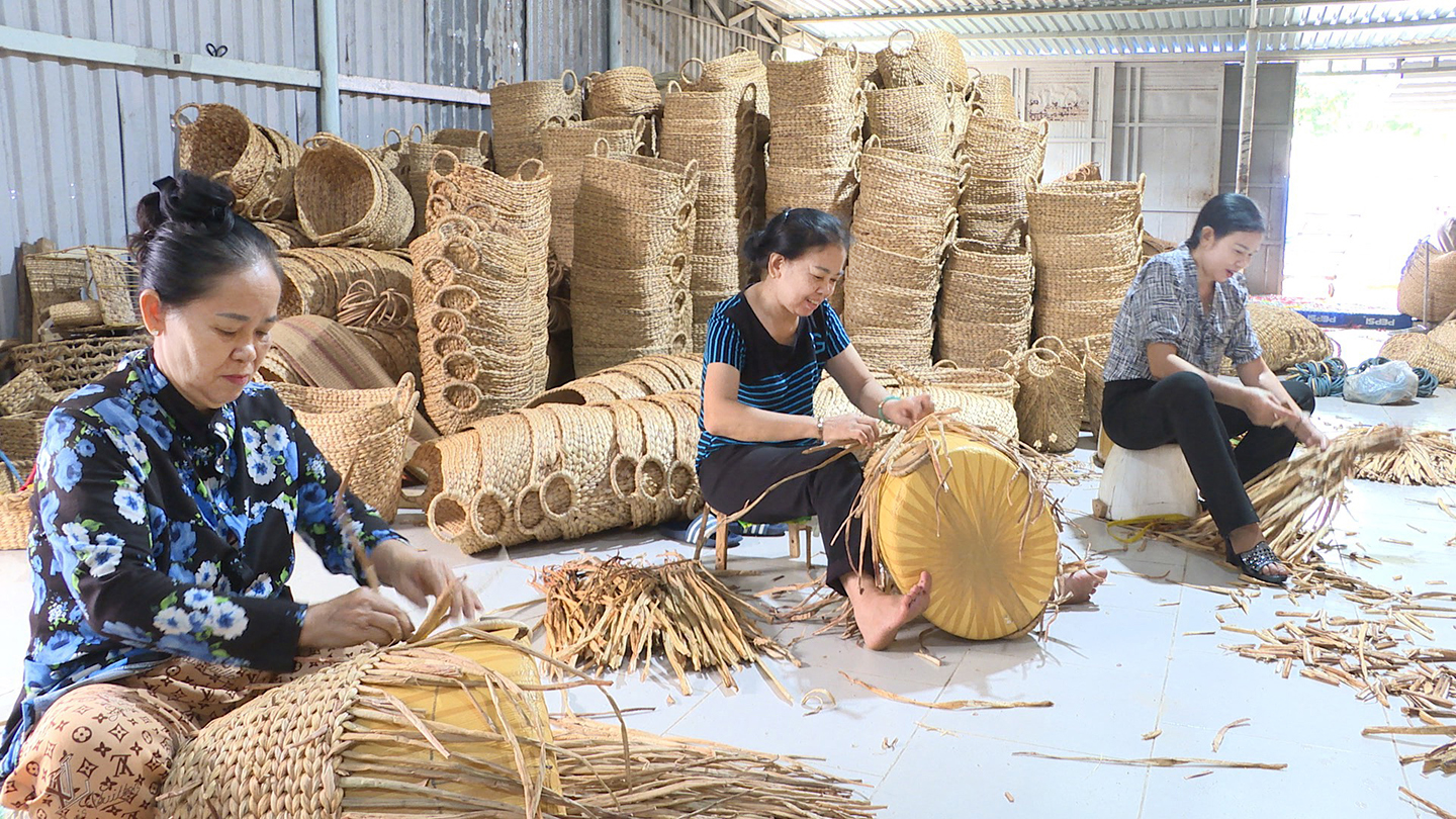 Quy trình chế biến lục bình và kỹ thuật đan truyền thống