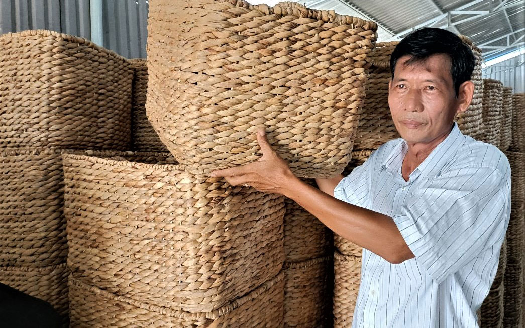 Cách lựa chọn và xử lý thân cây lục bình