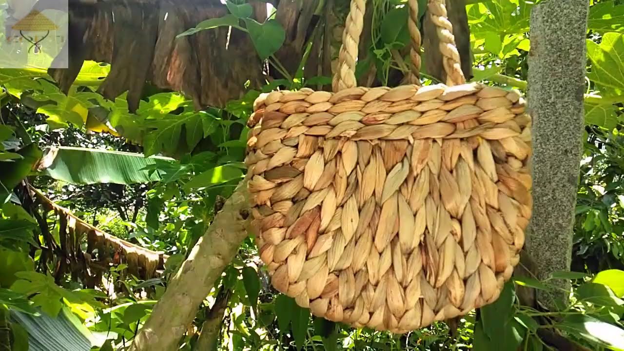 Công dụng và ưu điểm vượt trội