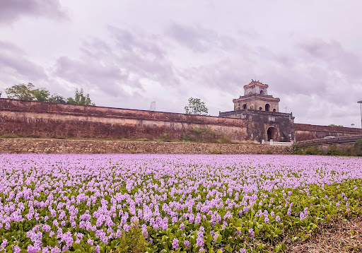 Sự đa dạng ứng dụng của cách đan lục bình hạt gạo trong đời sống và nghệ thuật Sự đa dạng ứng dụng của cách đan lục bình hạt gạo trong đời sống và nghệ thuật