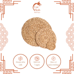 1.1 Mieng lot Luc Binh