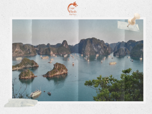 Luc binh dat viet
